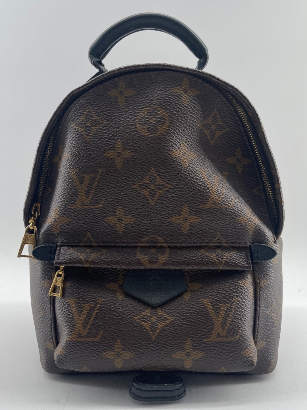Louis Vuitton Monogram Palm Springs Backpack